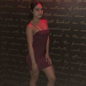 Windsor burgundy bodycon dress